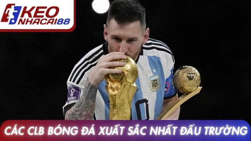 Các CLB bóng đá xuất sắc nhất đấu trường